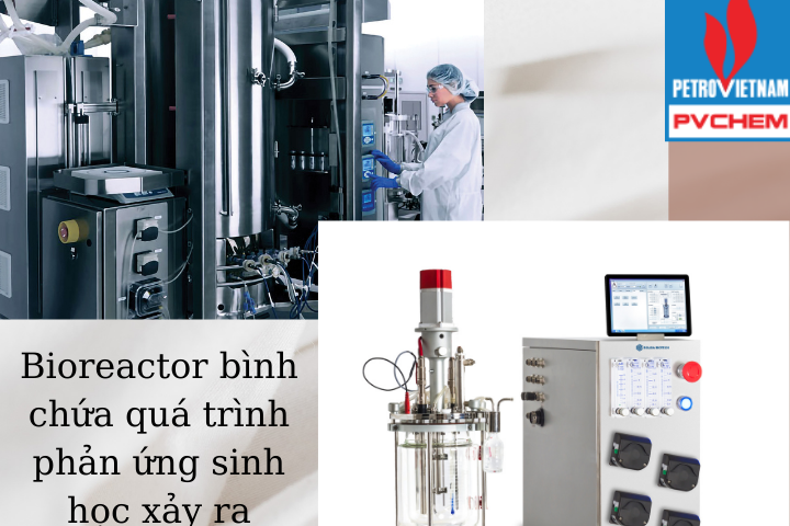 Bioreactor là gì? Các loại lò phản ứng sinh học